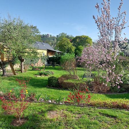 Villa Tini Radebeul Exterior photo